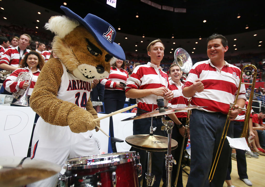 Wilbur T. Wildcat